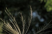 IMG_3727