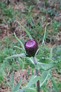 IMG_7151