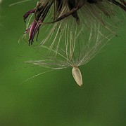 IMG_3592