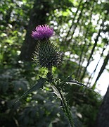 IMG_3522