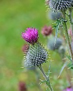 IMG_6871