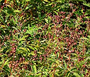 IMG_6535