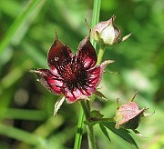 IMG_7659
