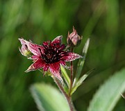 IMG_9800
