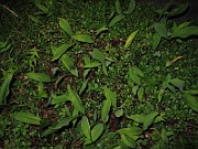 IMG_8217