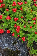 IMG_6202