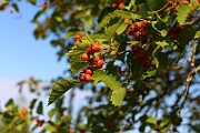 IMG_6612