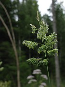 IMG_2549