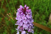 IMG_0176