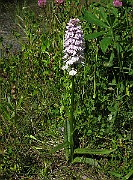 IMG_6849