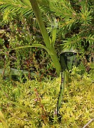 IMG_1134