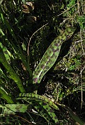 IMG_6860