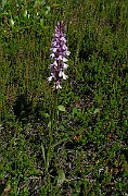 IMG_6862