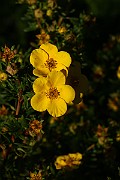 IMG_1701