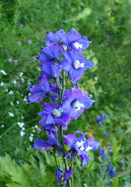 IMG_1312.JPG