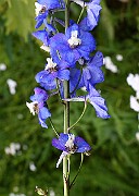 IMG_1320