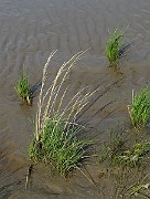 IMG_0575