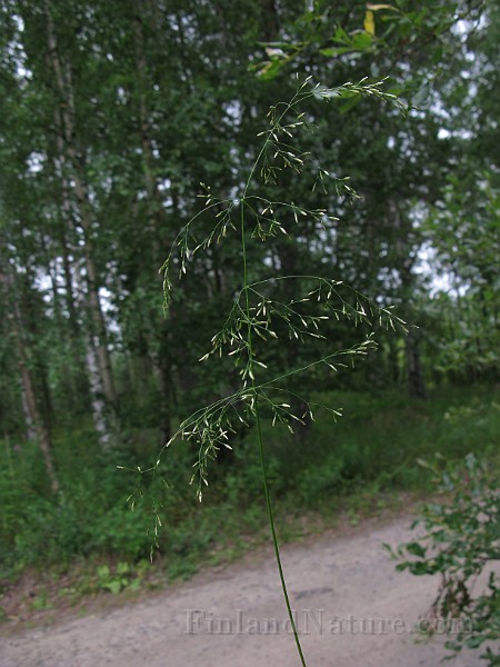 IMG_5064.jpg