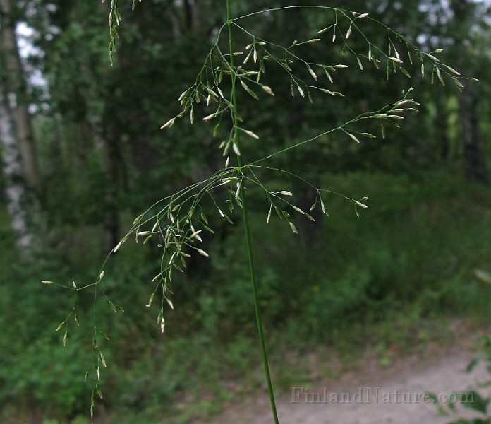 IMG_5064b.jpg