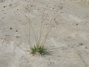 IMG_2126