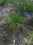 IMG_2452