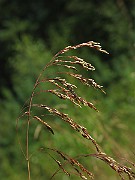 IMG_2458