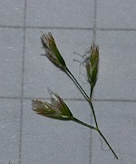 IMG_9980