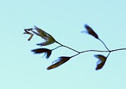 IMG_9984