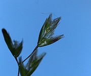 IMG_9986