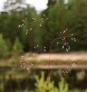 IMG_0583
