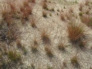IMG_2127