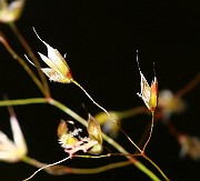 IMG_9914
