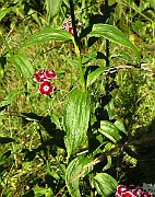 IMG_1493