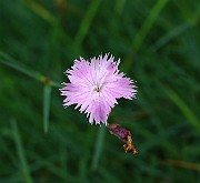 IMG_6813