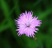 IMG_6820