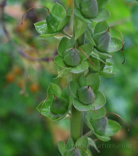 IMG_6760.JPG