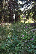 IMG_1506