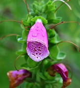 IMG_6759
