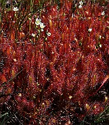 IMG_0046b