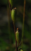 IMG_2064