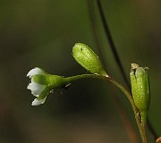 IMG_2066
