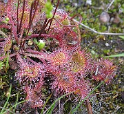 IMG_7283