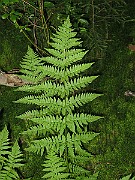 IMG_5607