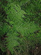 IMG_5830