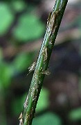 IMG_5834