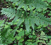 IMG_5835b