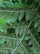 IMG_5836