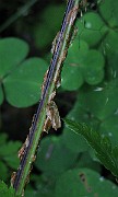 IMG_5841