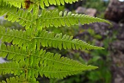IMG_3664