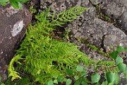 IMG_3669